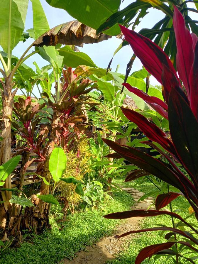 Banana Grove El Nido Otel Dış mekan fotoğraf