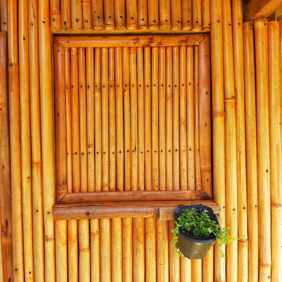 Banana Grove El Nido Otel Dış mekan fotoğraf