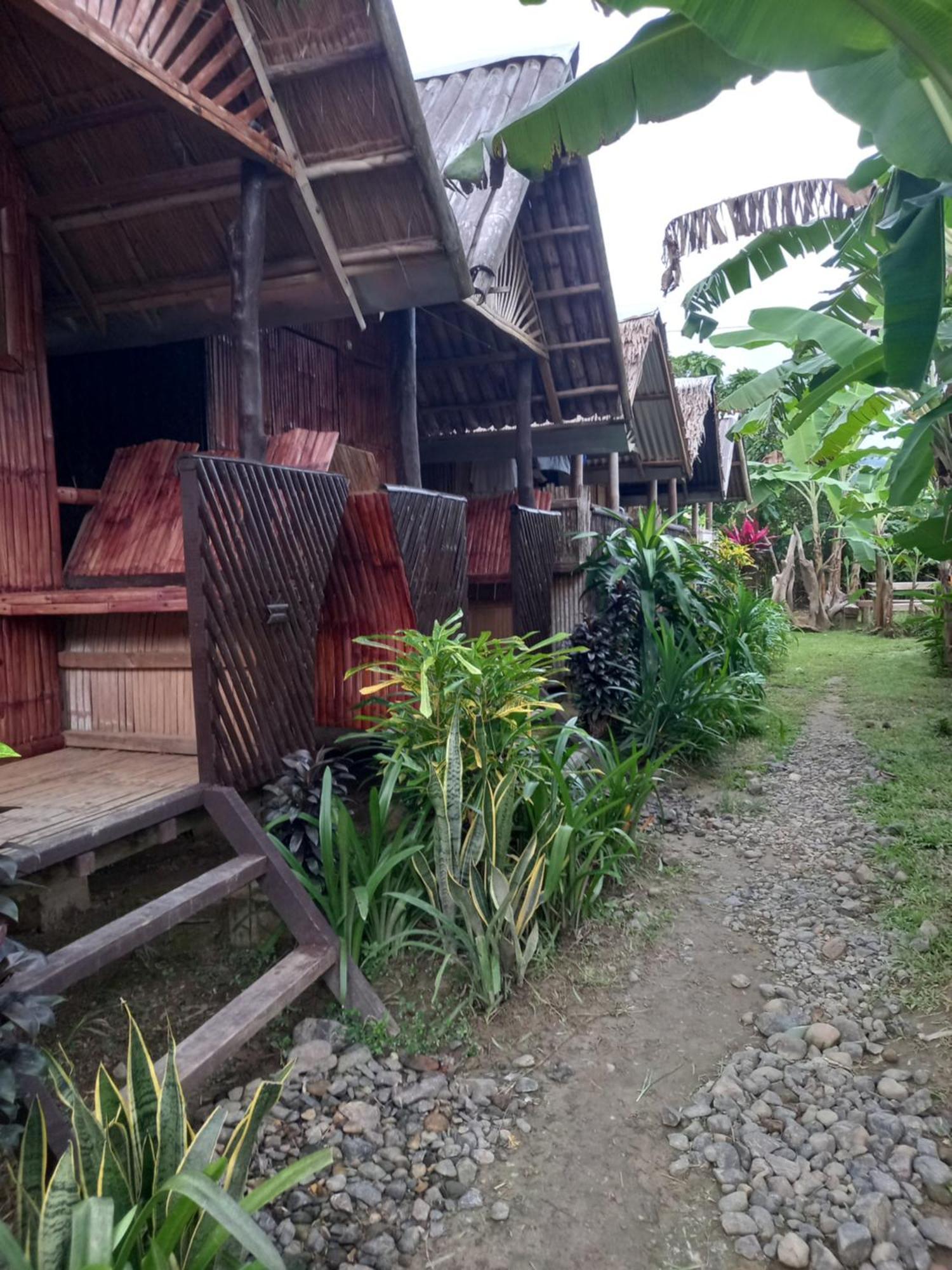 Banana Grove El Nido Otel Oda fotoğraf